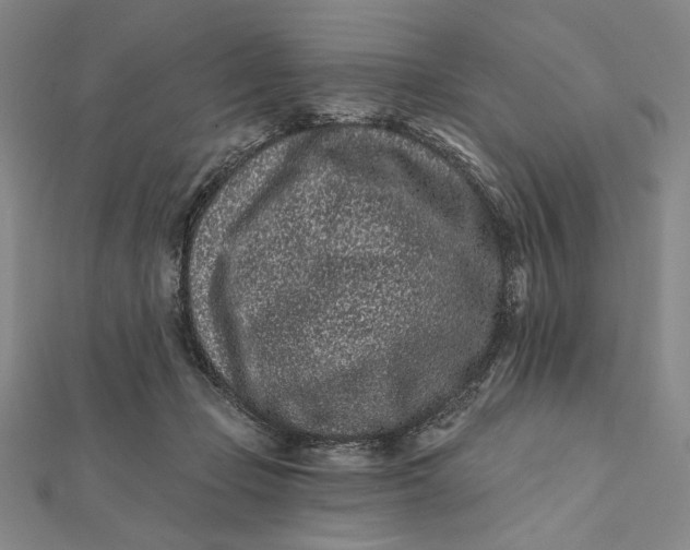 X0000112060365200908251026