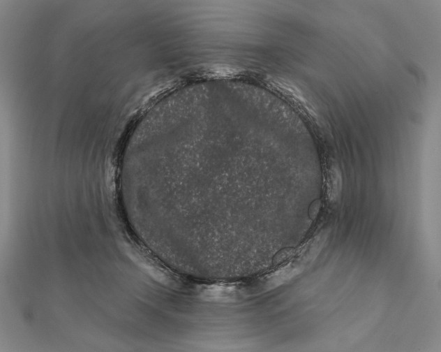 X0000112060366200908251026