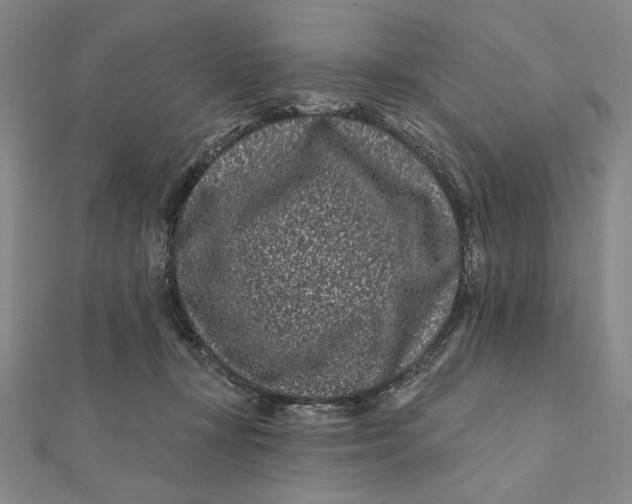 X0000112060367200908251026