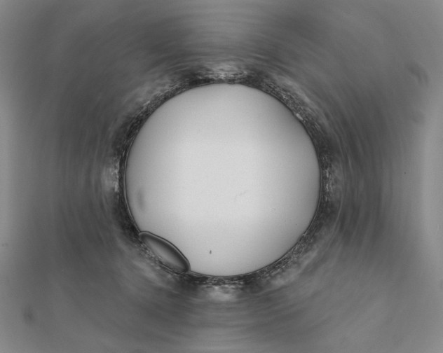 X0000112060368200908251026