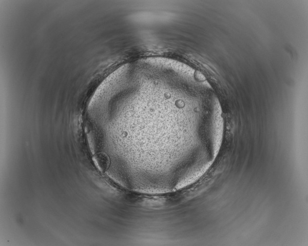 X0000112060369200908251026