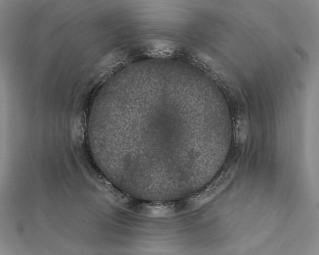 X0000112060370200908251026