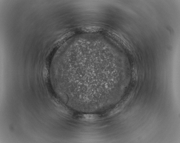 X0000112060371200908251026