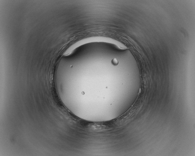 X0000112060372200908251026