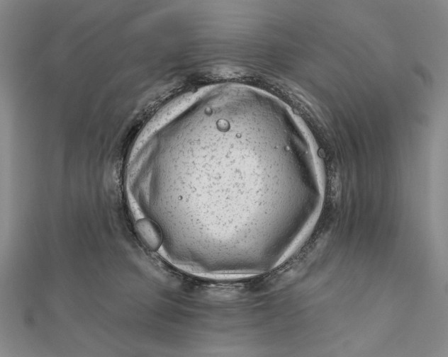 X0000112060373200908251026