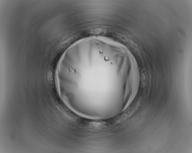 X0000112060375200908251026