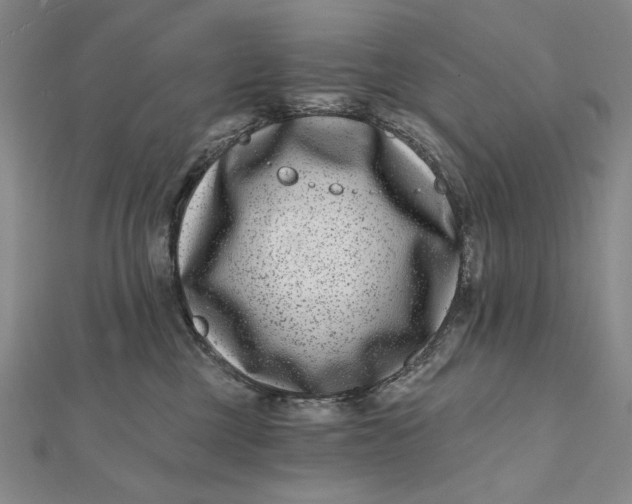 X0000112060377200908251026