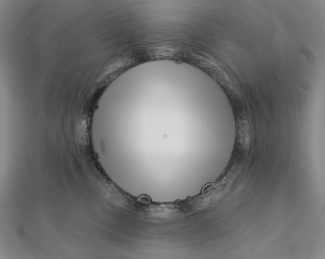 X0000112060378200908251026