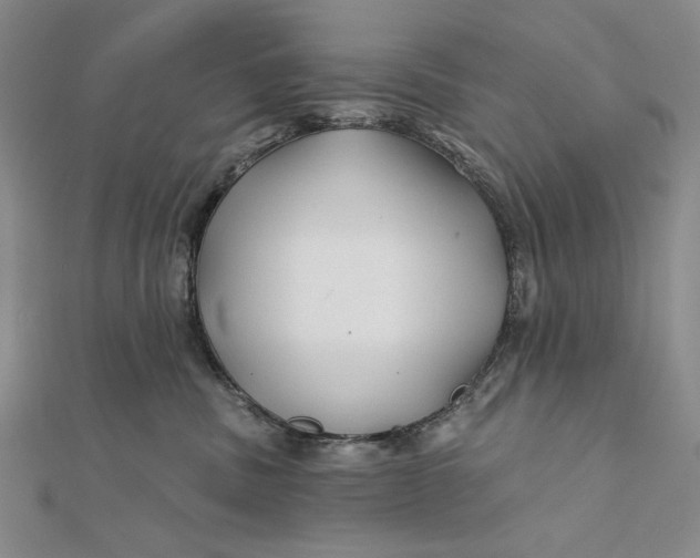 X0000112060379200908251026