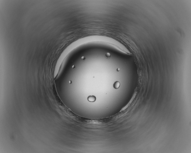 X0000112060380200908251026