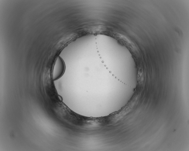 X0000112060381200908251026