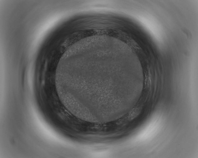 X0000112060383200908251026