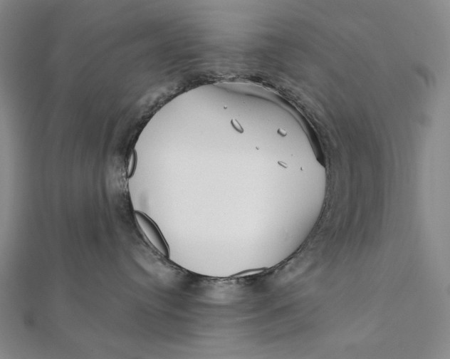 X0000112060384200908251027