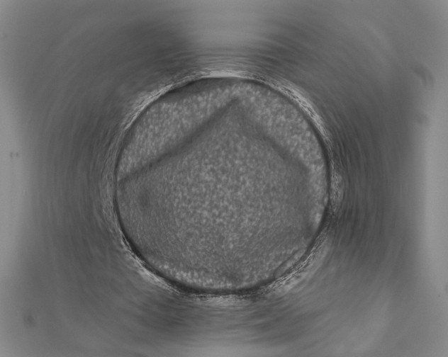 X0000112060385200908251026