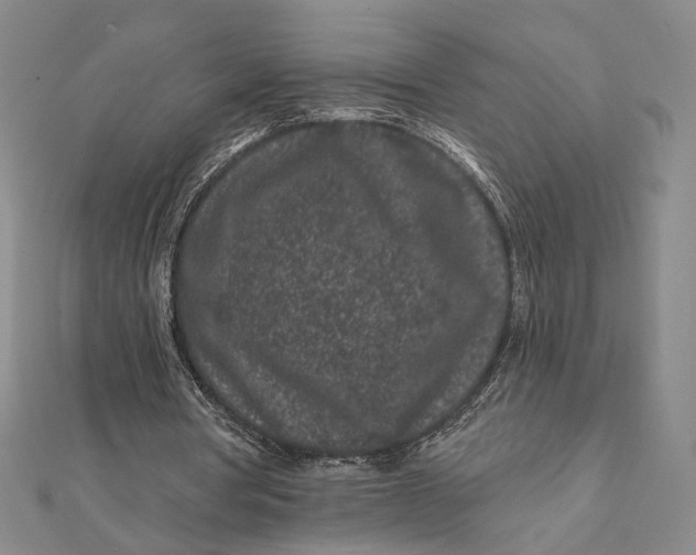 X0000112060386200908251026