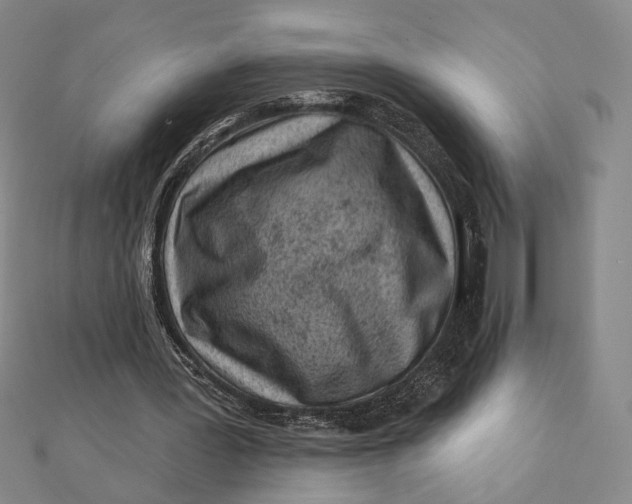 X0000112060387200908251026