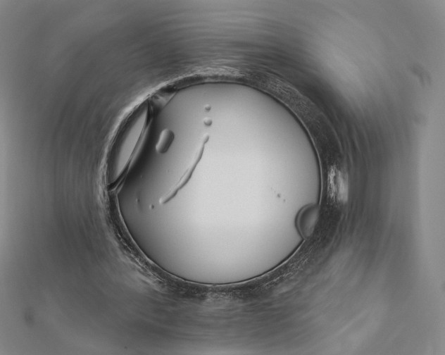 X0000112060388200908251026