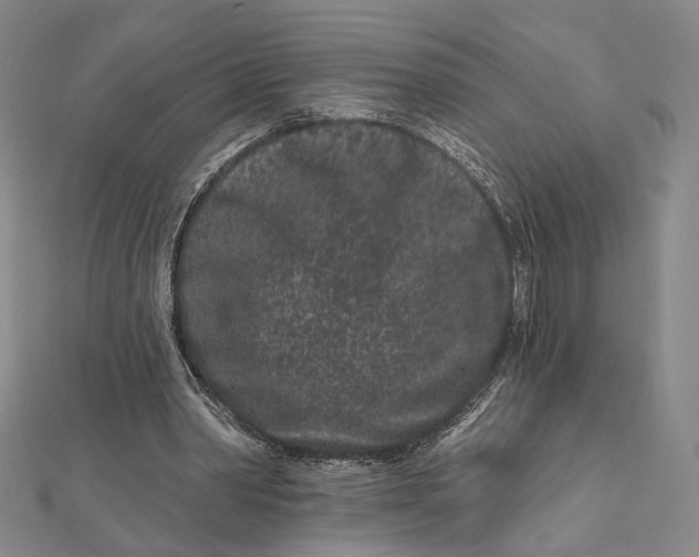 X0000112060390200908251026