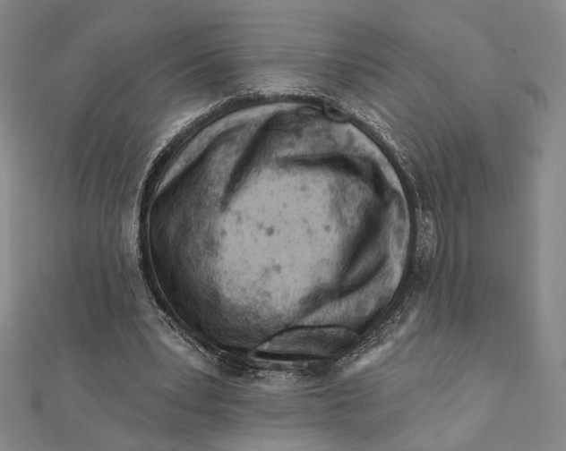 X0000112060391200908251026