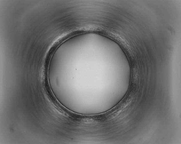 X0000112060392200908251026