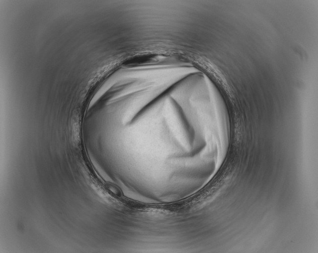 X0000112060393200908251026