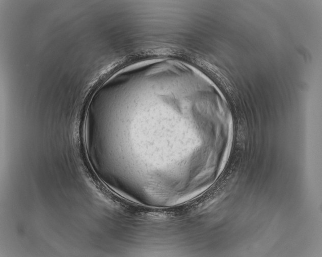 X0000112060394200908251025