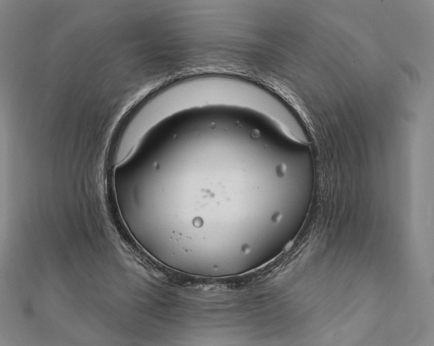 X0000112060395200908251025