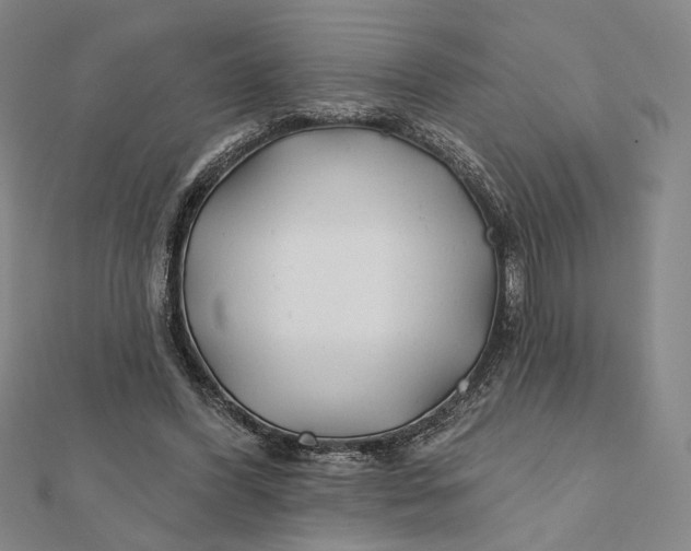 X0000112060396200908251025