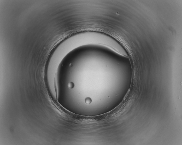 X0000112060397200908251025