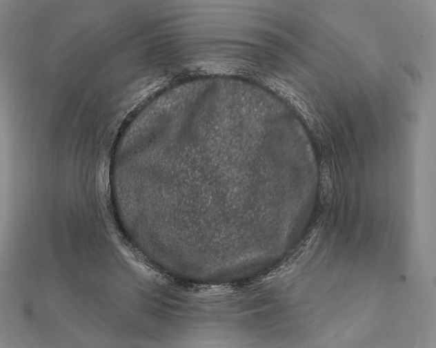 X0000112060398200908251025