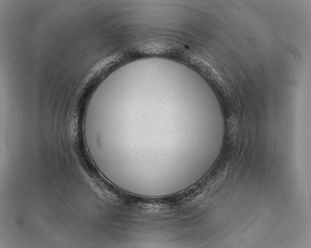 X0000112060400200908251025