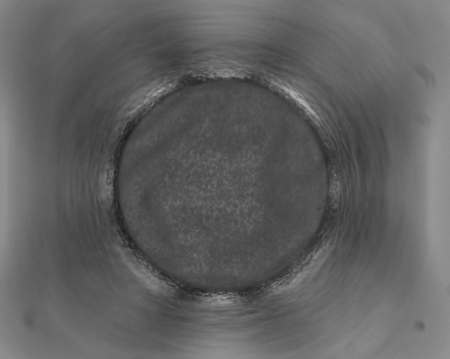 X0000112060402200908251025