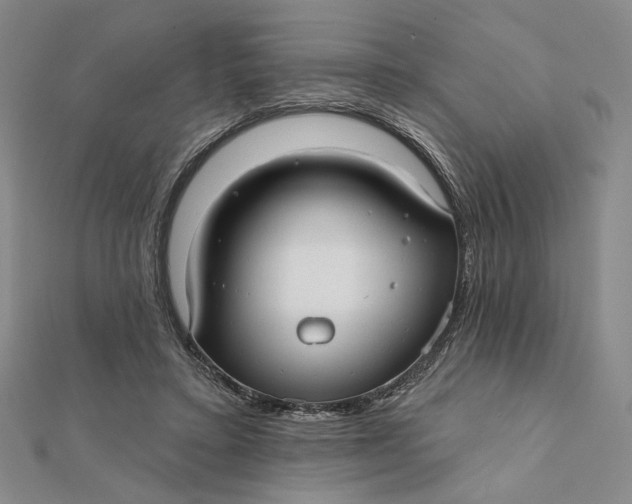 X0000112060403200908251025