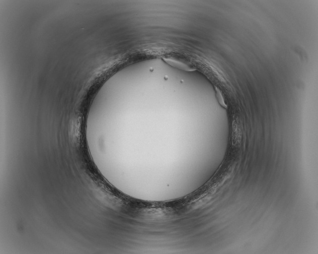 X0000112060404200908251025