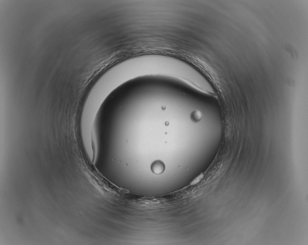 X0000112060405200908251025