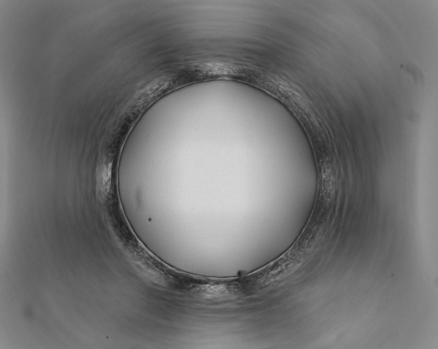 X0000112060406200908251025