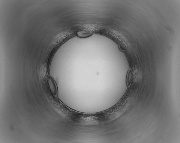 X0000112060407200908251025