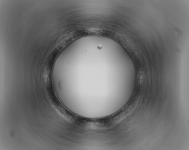 X0000112060408200908251025