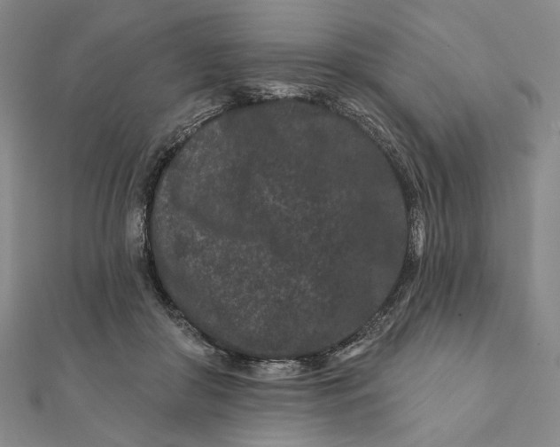 X0000112060410200908251025