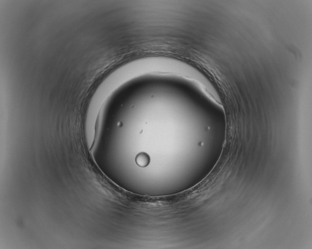 X0000112060411200908251025