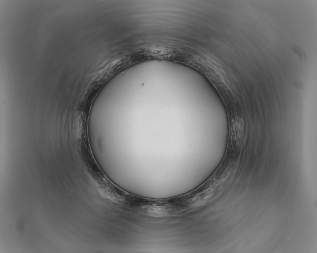 X0000112060412200908251025