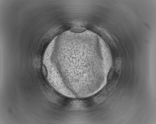 X0000112060413200908251025