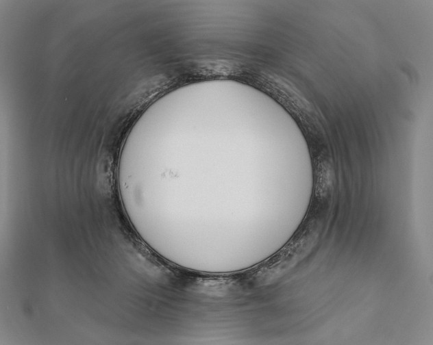 X0000112060414200908251025