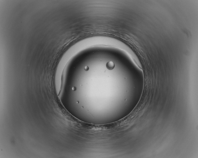 X0000112060415200908251025