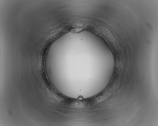 X0000112060416200908251025