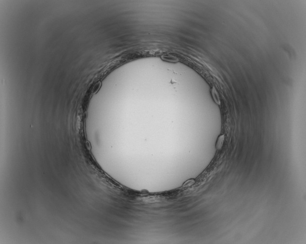 X0000112060417200908251025