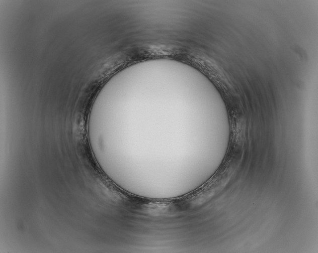 X0000112060418200908251025