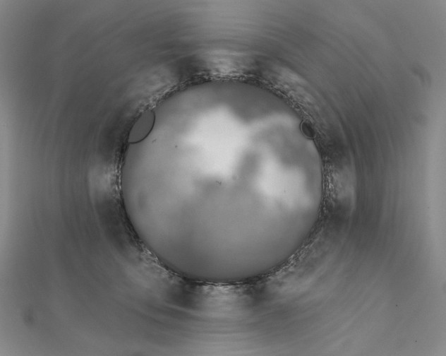 X0000112060419200908251025