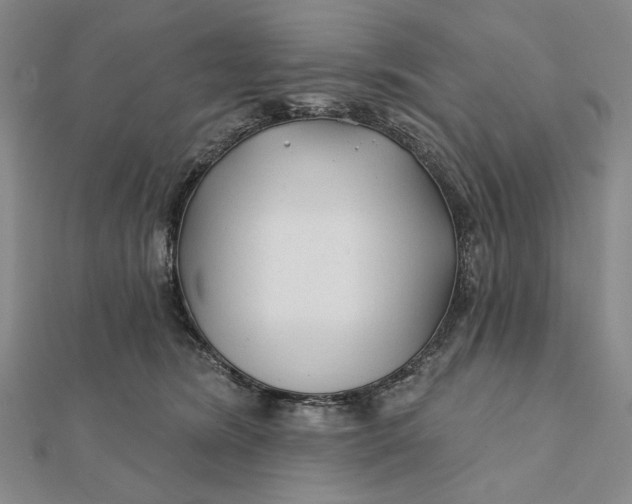 X0000112060420200908251025