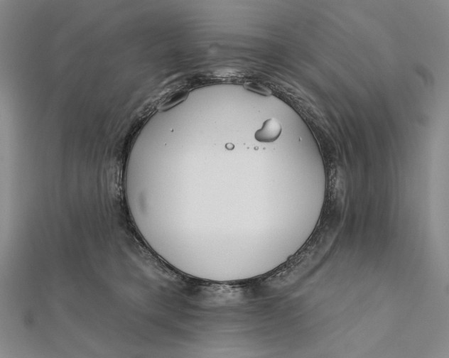 X0000112060421200908251025